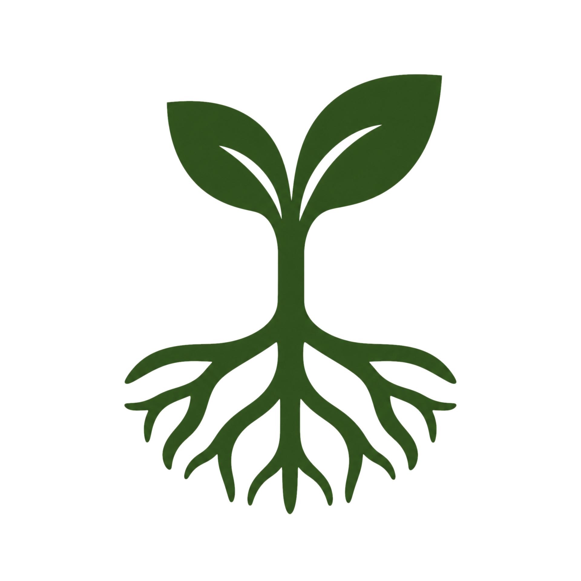 Rooted Up